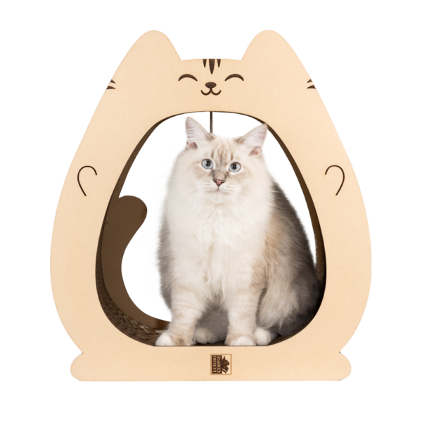 Fat Cat Crazy Cat - Imagen 4