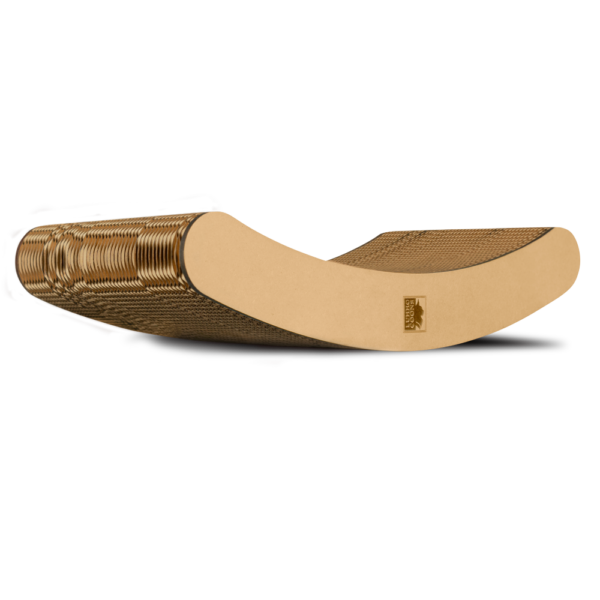 Curved - Imagen 3